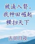 被逼入赘，我种田崛起横扫天下