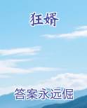狂婿