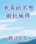 我真的不想做机械师