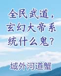 全民武道，玄幻大帝系统什么鬼？小说全文免费阅读