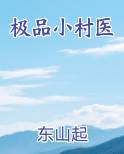 极品小村医