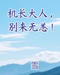 机长大人，别来无恙！
