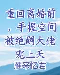 重回离婚前，手握空间被绝嗣大佬宠上天