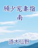 顾少宠妻指南