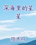 深海里的星星小说讲了什么