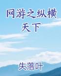 网游之纵横天下