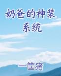 奶爸的神装系统