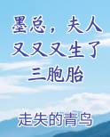 墨总，夫人又又又生了三胞胎