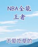 NBA全能王者