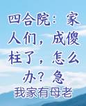 四合院：家人们，成傻柱了，怎么办？急