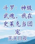 斗罗：神级武魂，我在史莱克当团宠