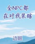 所有npc都求我闭嘴