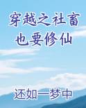 穿越之社畜也要修仙