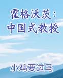 霍格沃茨：中国式教授