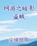 网游之暗影盗贼