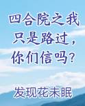 四合院之我只是路过，你们信吗？