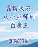 霍格沃茨：从小巫师到白魔王