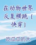 我在动物世界