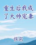 重生后我成大帅宠妻免费完结小说