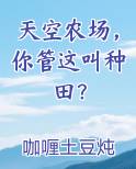 天空农场,你管这叫种田?_咖喱土豆炖牛肉