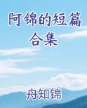 小说女主阿锦