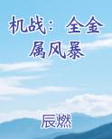 机战：全金属风暴