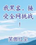 我黑客，接受全网挑战！免费听书