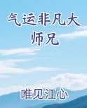 气运非凡大师兄