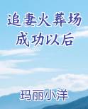追妻火葬场成功以后小说全文免费阅读