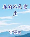 真的不是重生在线阅读无弹窗
