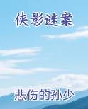 侠影谜案