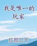 我是唯一的玩家