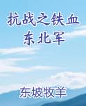 抗战之铁血东北军