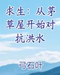 求生：从茅草屋开始对抗洪水