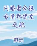 闪婚老公很专情乔楚左之航