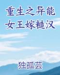 重生之异能女王嫁糙汉