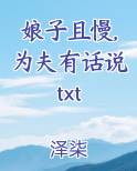 娘子且慢,为夫有话说txt