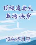 顶级追妻火葬场[快穿]